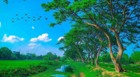 Dry weather likely across Bangladesh